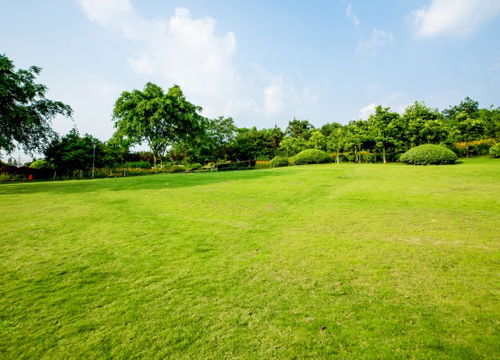 House & Exterior image