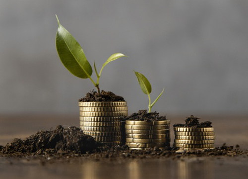 House & Exterior image